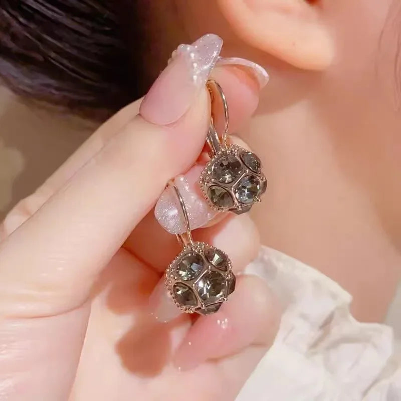 2024 New High-end Elegant Black Zircon Earrings for Women Fashionable Individuality Daily Accessory Party Jewelry Birthday Gifts